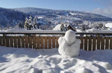 Nouveau Chalet M.META 12 pers sauna,jacuzzi,billard - Foto 2