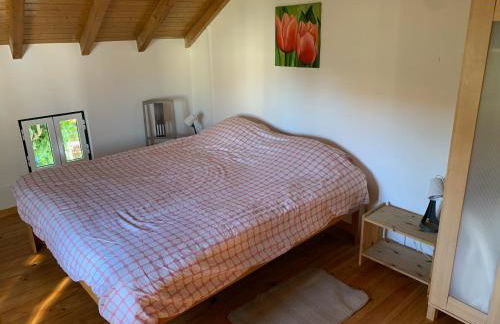 Casa Agostinho - with private pool near Coimbra - Foto 17