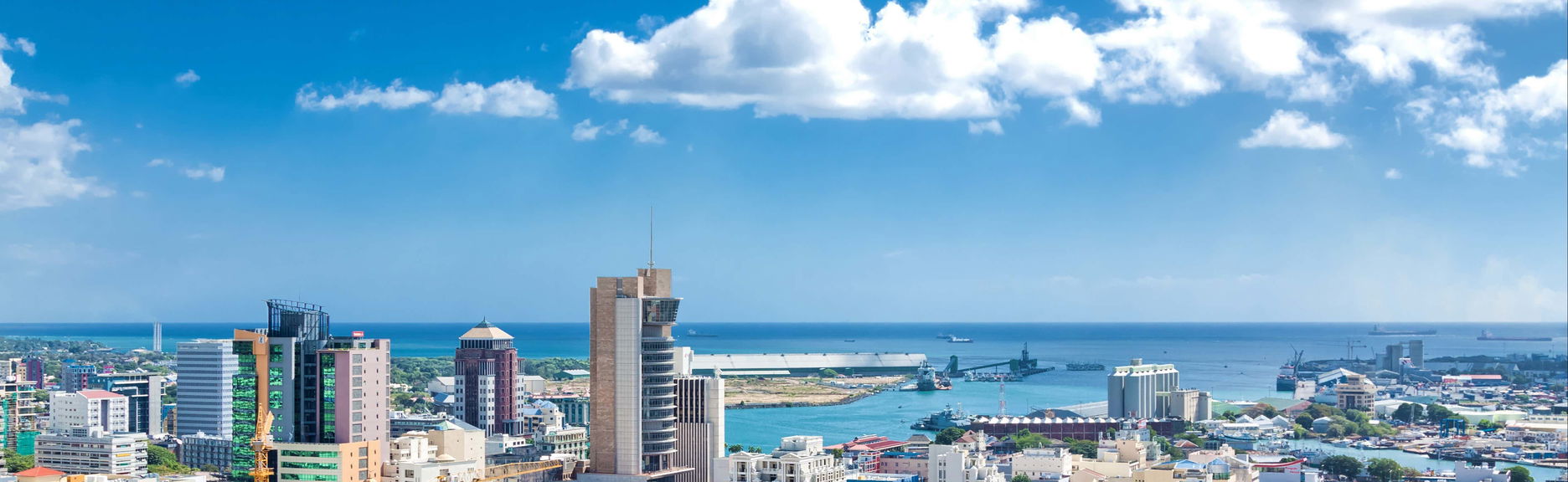 Excursion privée à Port-Louis et Pamplemousses