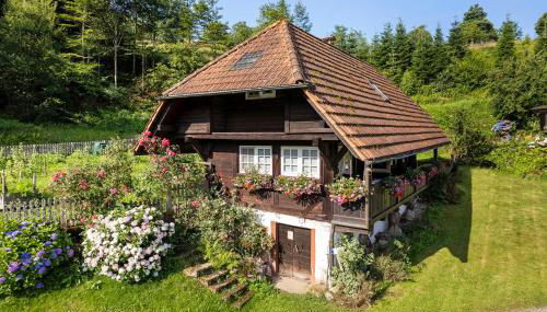 Schwarzwald Buchenhof - Foto 4