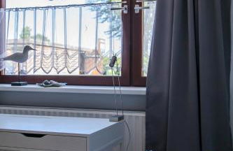 Traumlage-Maasholm - Foto 53