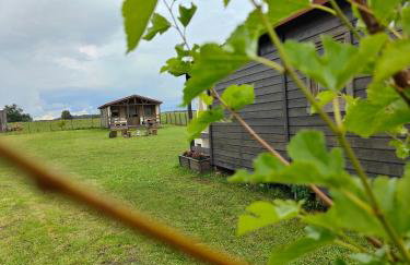 W Szczerym Polu - Foto 37