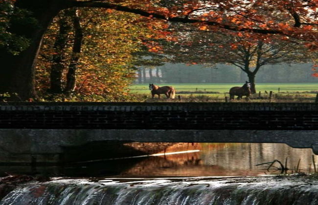 Apartment in Eindhoven Near City Center - Photo 33