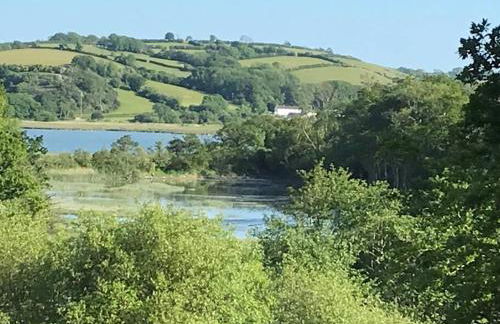 Spacious bungalow with estuary views near Llansteffan - Photo 35