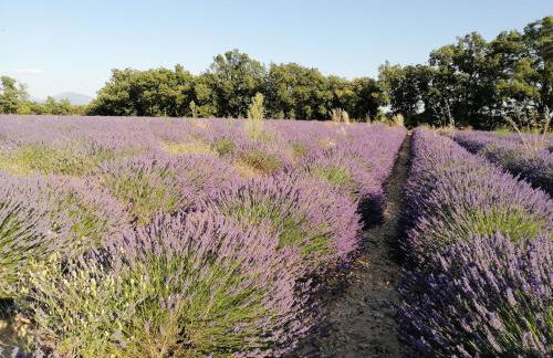 Gites Lou Limbert - Photo 22