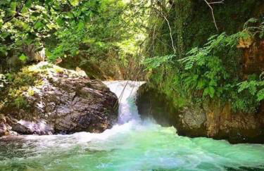 Le petit Nid Rouge - Foto 25