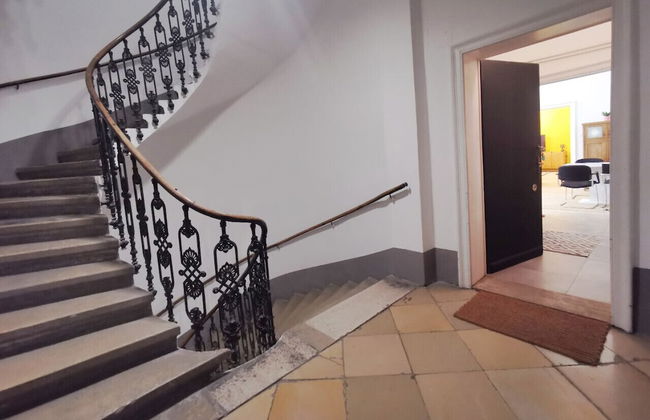 Yellow Palm - Foto 17