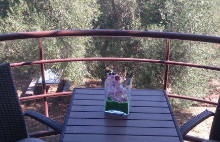 Apartments Juretic - Photo 42