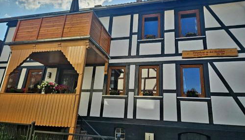 Ferienwohnung zu den Ilsefällen I - Foto 3