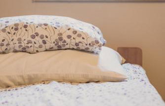 Agroturystyka Pod Modrzewiami - Foto 49