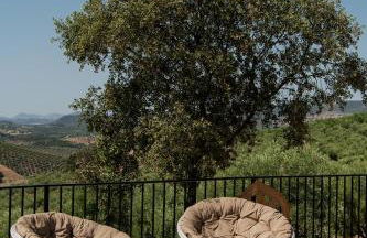 Finca El Almendrillo - Foto 60