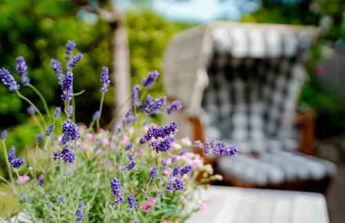 LITZKOW 13903 - Photo 23