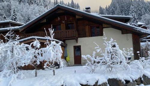 Joyeux Flocon - Spacieux chalet - Photo 3
