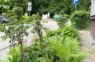 APARTAMENT KASZMIR w KRÓLEWSKIM SANDOMIERZU - Photo 6