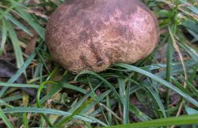 La Casa del Lago con vistas a las Montañas - Foto 30