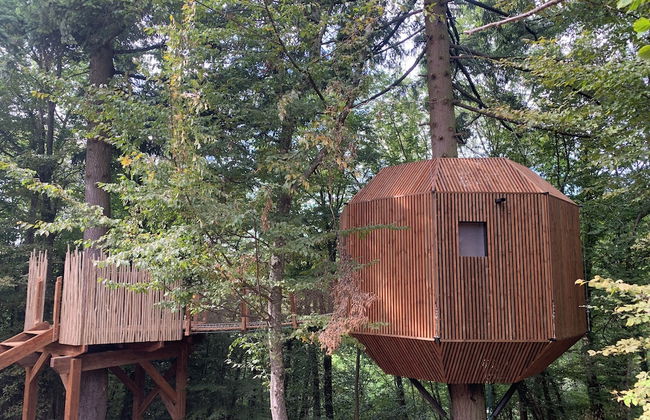 Domaine des Étoiles - Photo 2