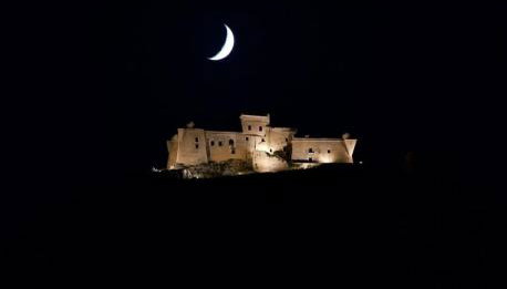 I Leoni di Sicilia - Favignana - Foto 3