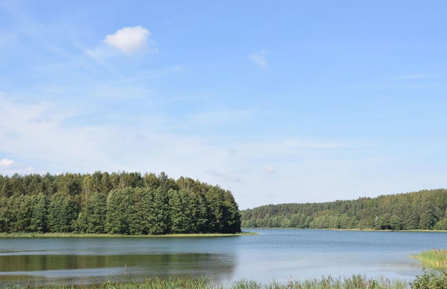 Holiday Home, Niesiolowice - Foto 10