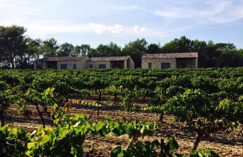 Les Lodges du Pic - Foto 55