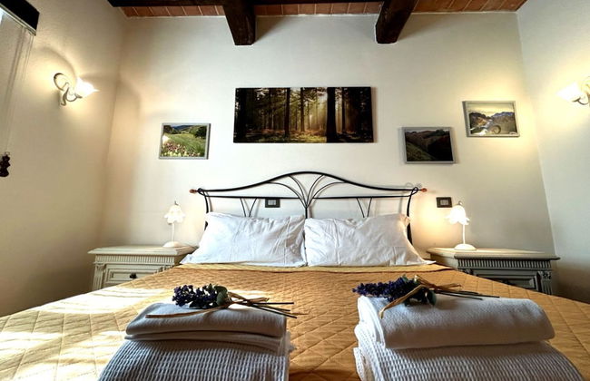 IL PIANETTO - Foto 28