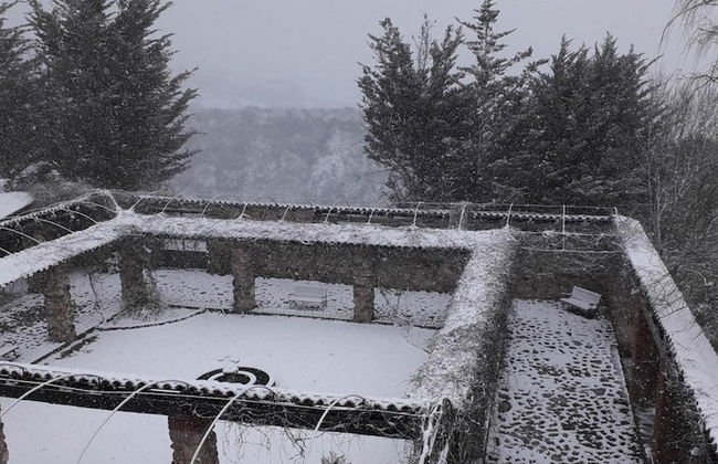 Giardino Donna Lavia - Photo 42