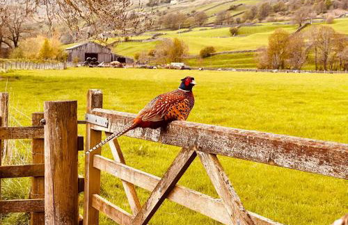 The Old Barn - Photo 14