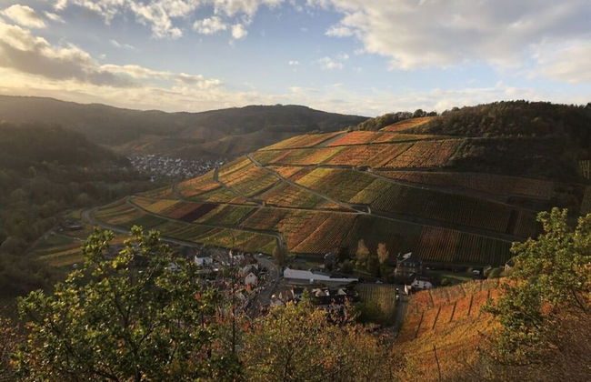 Holiday Apartment Oasis - Foto 11