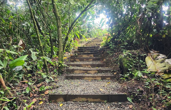 Cabañas Caeli Rainforest Glass Cabin La Perezosa La Fortuna - Foto 35