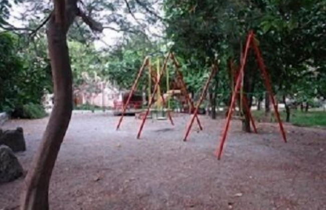 La Grevillea - Foto 4