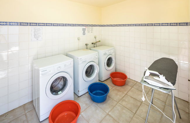 Flor da Laranja - Foto 22