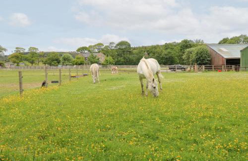 Bullace Barn - Foto 39