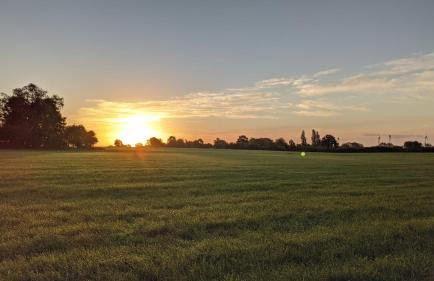 Holtdeel - Foto 34