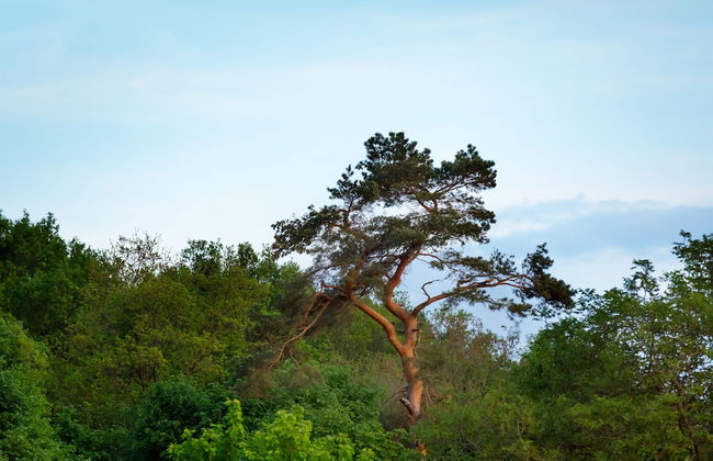 Casa City View - Foto 16