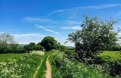 Ian's Cottage, Wedmore - country cottage for two - Foto 33