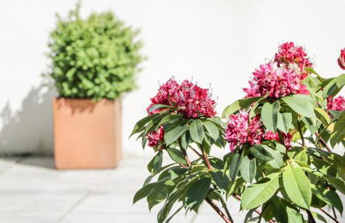 Shepherdess Cottage - Foto 30