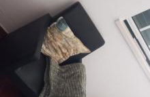 Casa Ladino no Campo - Foto 16