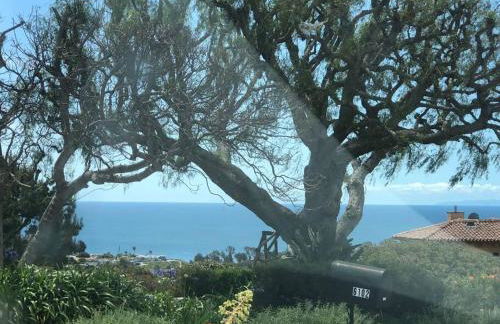 30 PCT OFF! Malibu Charming Suite, Ocean View, King Bed - Foto 17