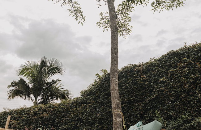 Casa Los Curazaos - Foto 41