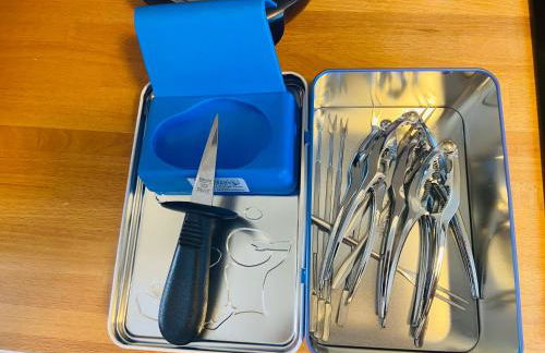 Chez Zivou au pied de la plage - Foto 42