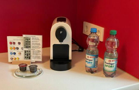 Schmuckstück an der Wormser Stadtmauer - Foto 9