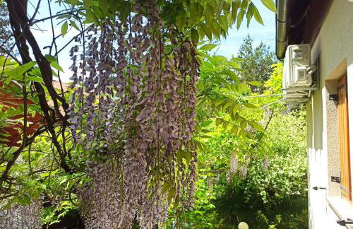 Apartment Übernachtung für einen unvergesslichen Besuch der Plitvicer Seen by Interhome - Foto 19