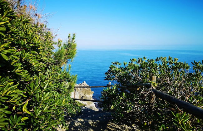 Cst002g in Castro With 1 Bedrooms and 1 Bathrooms - Foto 24