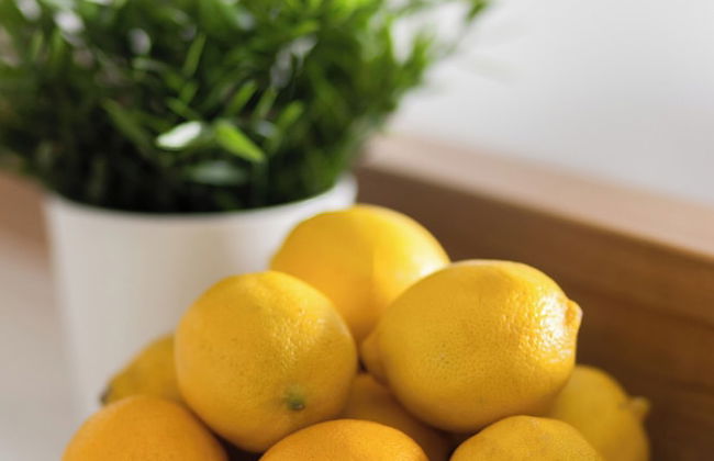 Żoliborz Artystyczny Warsaw by Renters - Foto 26