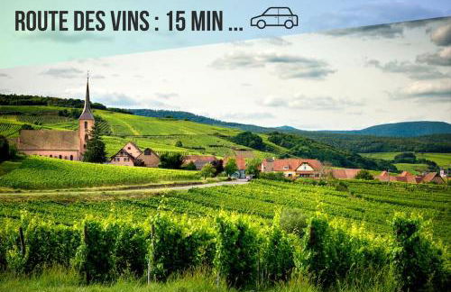 Le jardin secret - Colmar - WIFI - Foto 30