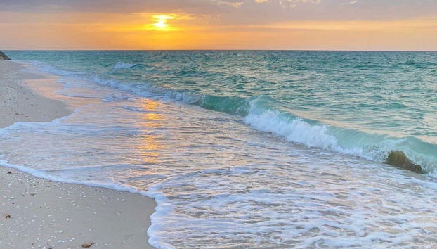 Yucatán Coast Tour - Foto 2