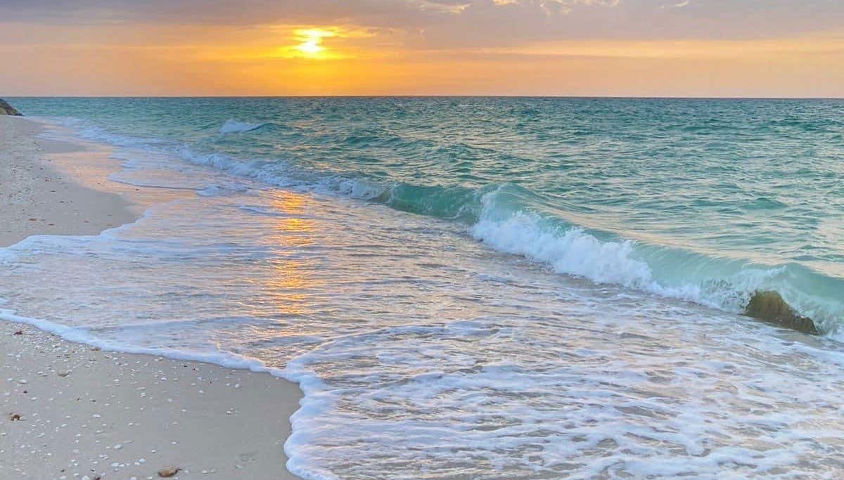 Yucatán Coast Tour - Foto 1