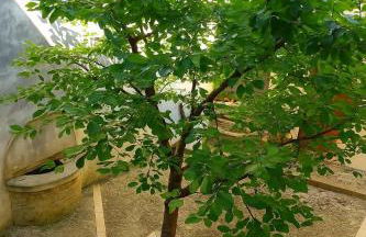 Casa Giulio - Foto 13