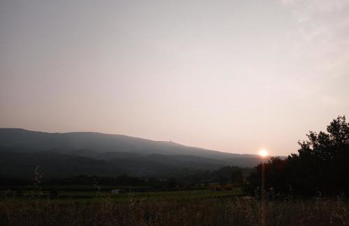Les Gites du Mont Ventoux - Foto 61