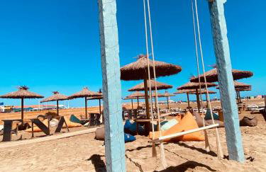 La maison de Jade Le Mabrouka donne une place pour la réserve africaine valable jusqua fin septembre - Foto 22