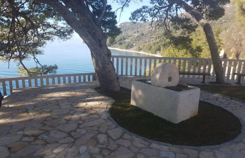 Apartmani Nina & Mili - Photo 7